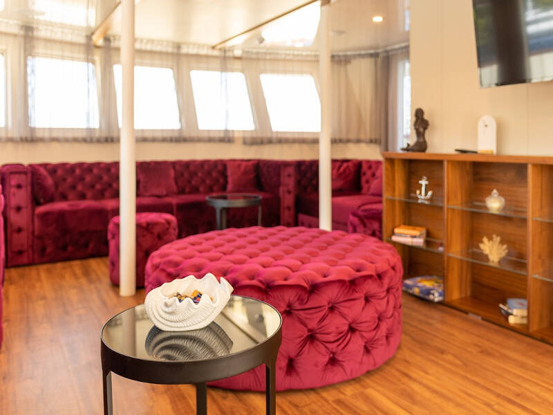 Motoryacht YOLO Yolo