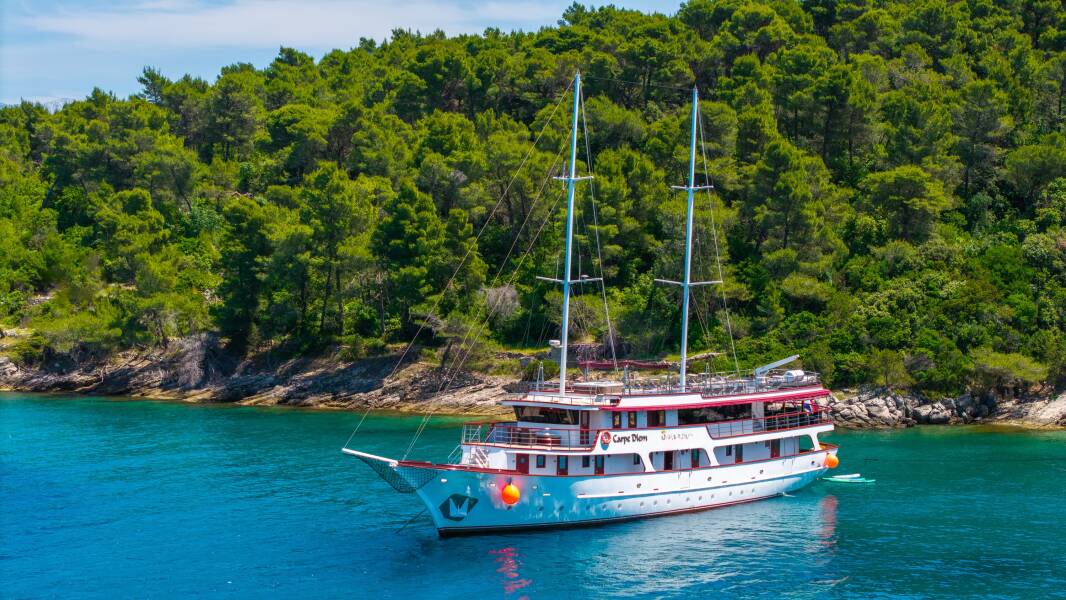 M/S Carpe Diem Carpe Diem