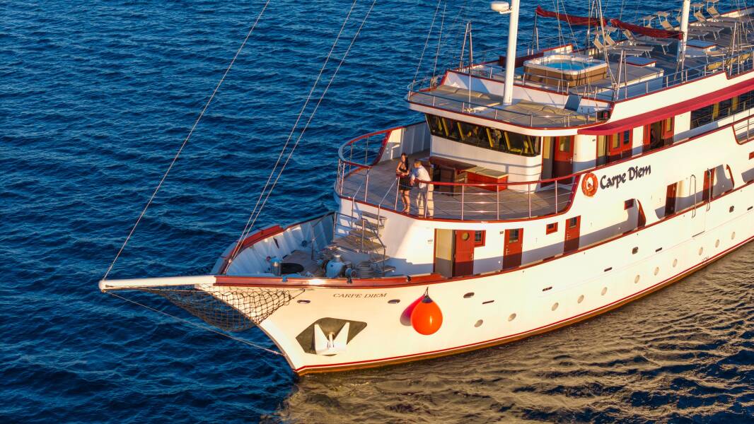 M/S Carpe Diem Carpe Diem