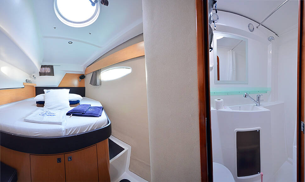 Orana 44 Quatuor Caria