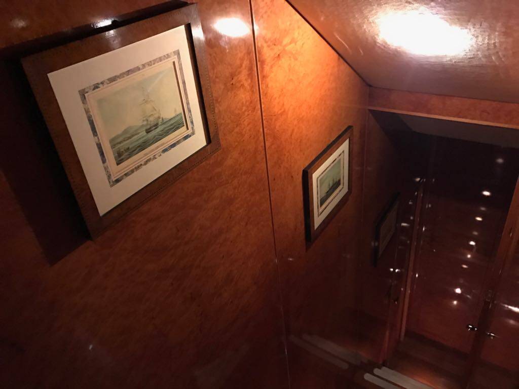 Pegasus 80 Teddy Bear