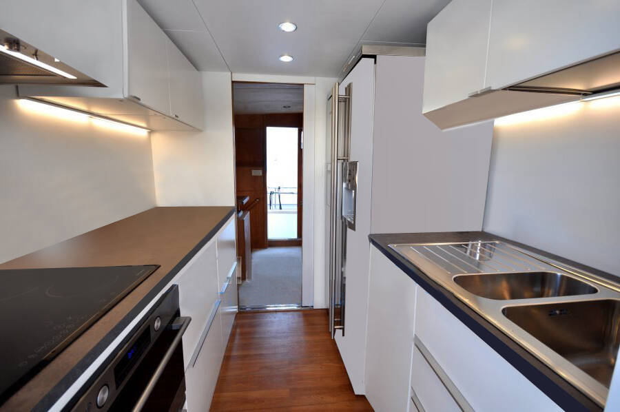 Pegasus 80 Teddy Bear