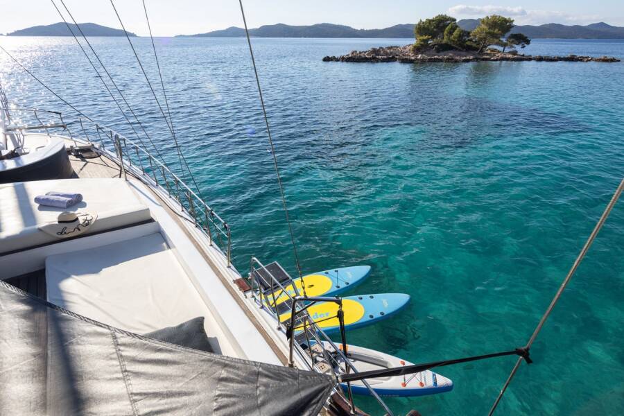 Phoenix Bronze Phoenix Bronze