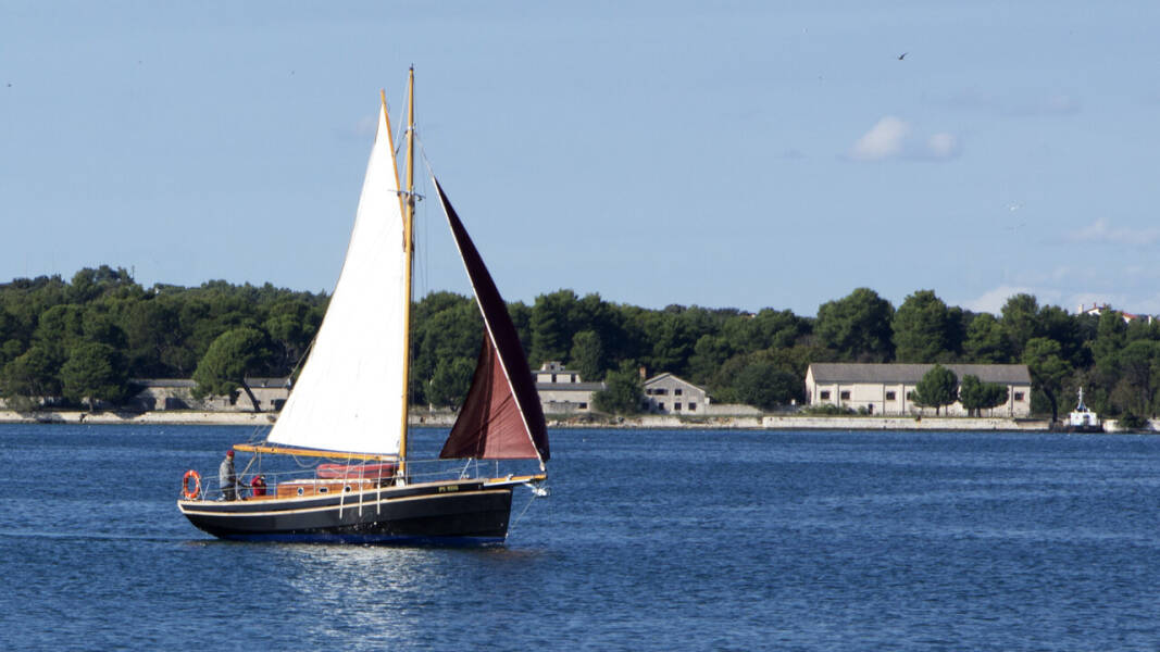 Pilot Cutter Black Bird