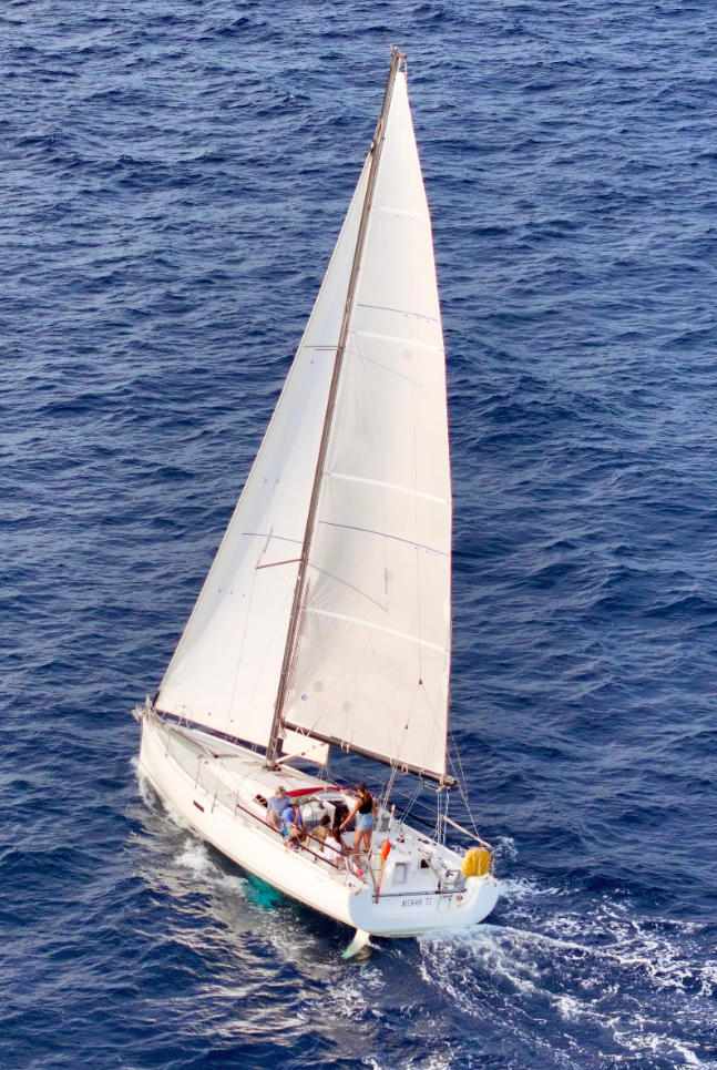 Pogo 10.5 Ginger