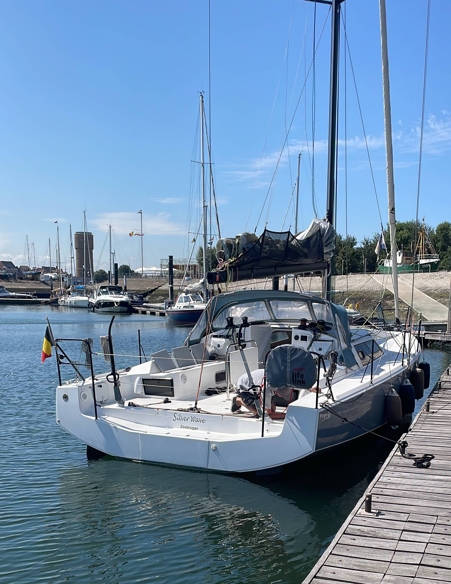 Pogo 36 SILVER WAVE