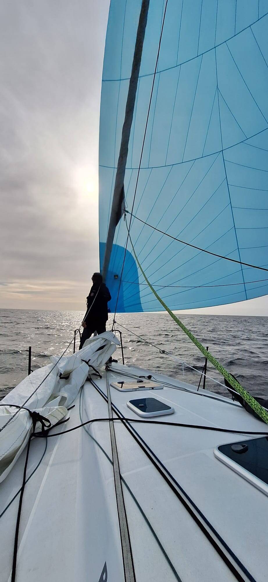 Pogo 36 SILVER WAVE