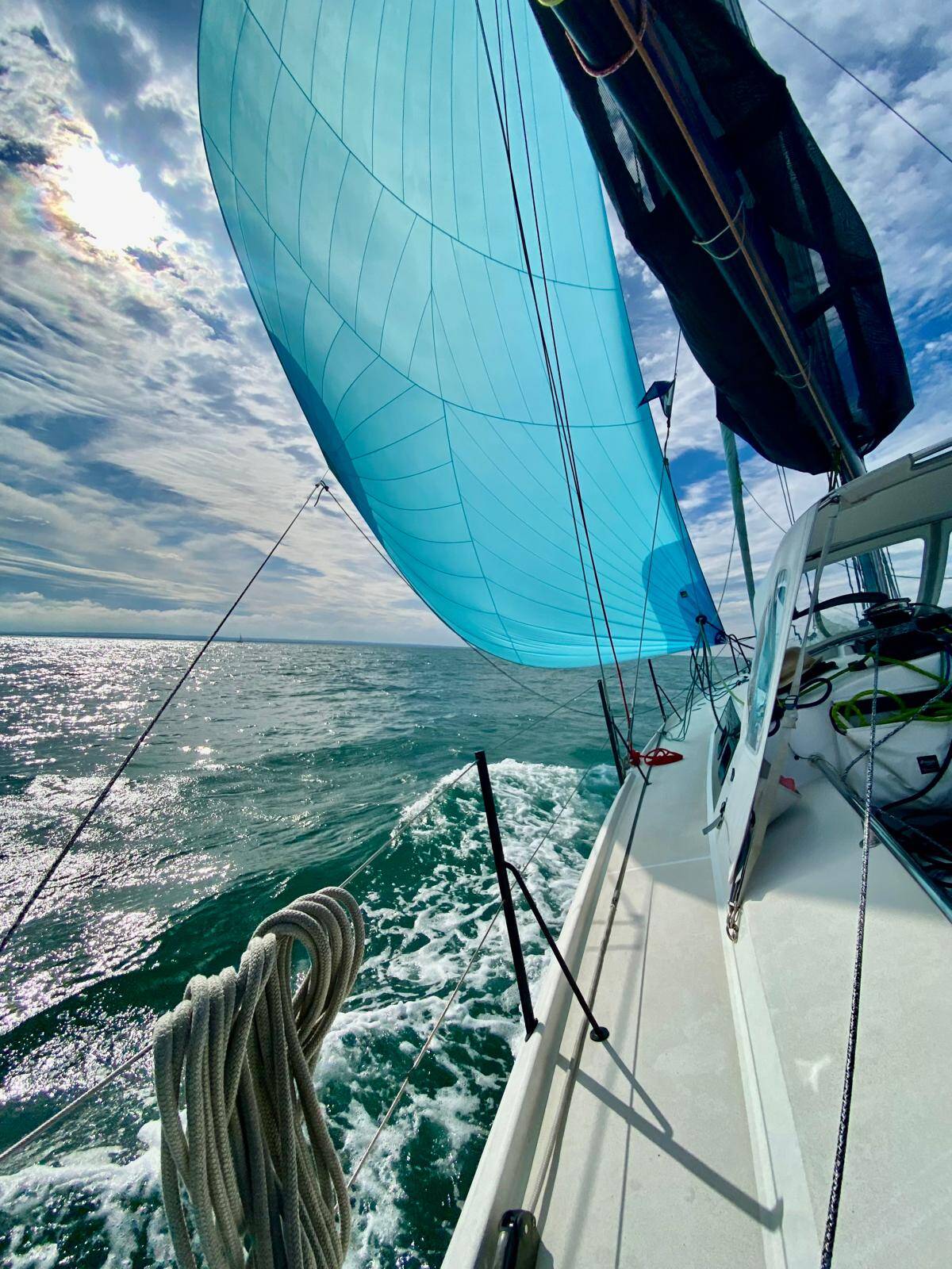 Pogo 36 SILVER WAVE