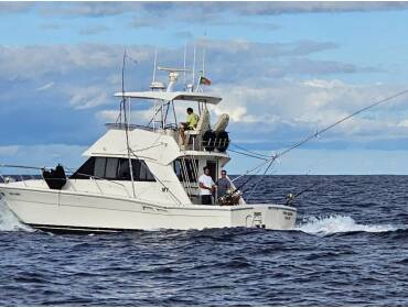 Riviera 39 Open Flybridge • Punta Europa