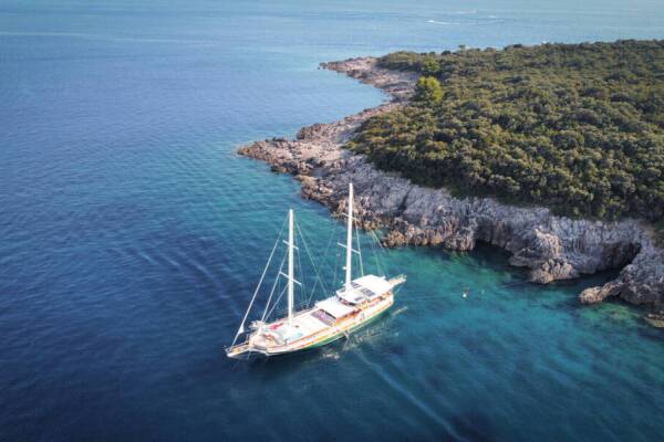 Sadri Usta 1 • Sadri Usta 1