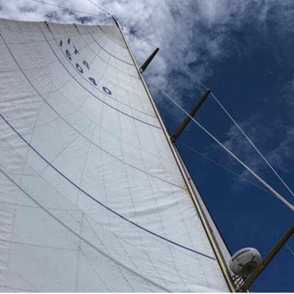 Sciarelli 62.5 Clan II