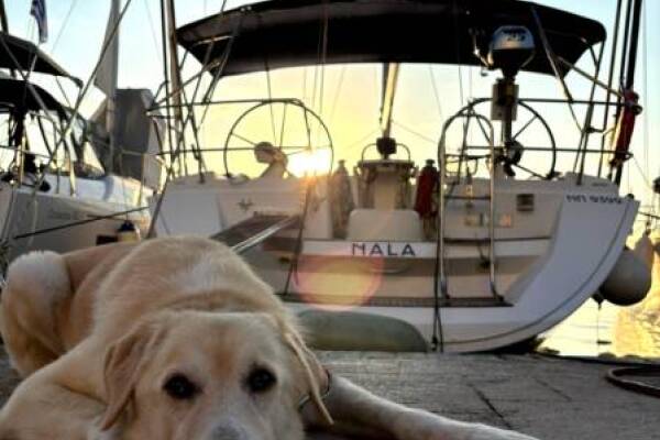 Sun Odyssey 45 • Nala