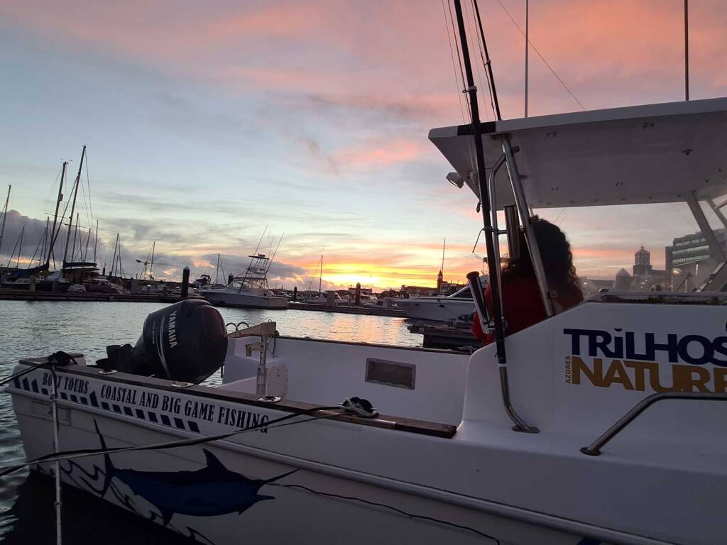 Tecninautica Marlin 22 Mare Nostrum