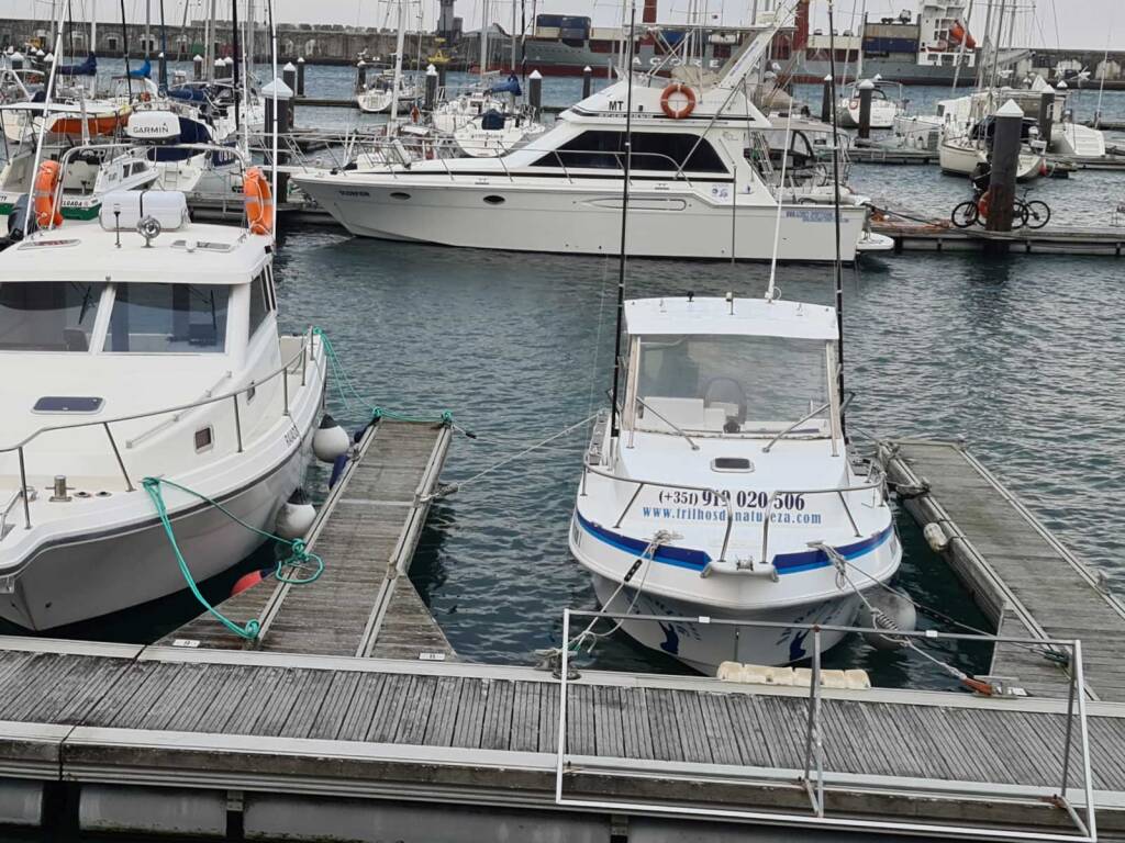 Tecninautica Marlin 22 Mare Nostrum