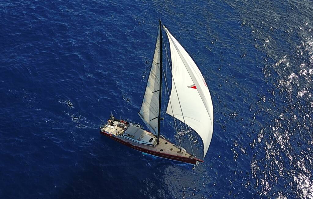 Vismara V71 Red Carpet