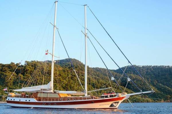 Wicked Felina Wicked Felina